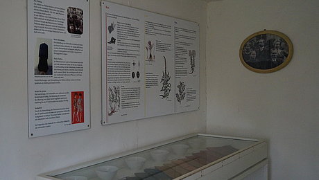 Ausstellungsvitrine mit gefärbten Stoffen und Texttafeln 