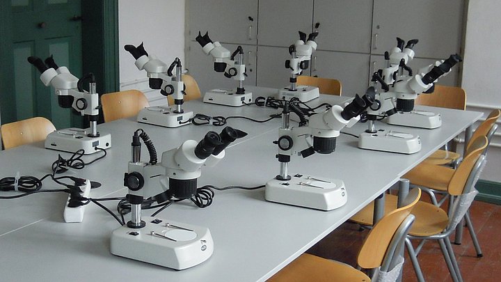 Fotoaufnahme eines Bodenlabors. Auf einer Tischgruppe befinden sich neun Mikroskope, die an Mehrfachsteckdosen angeschlossen sind. Vor jedem Mikroskop steht ein Holzstuhl. Im Hintergrund ist eine Schrankwand erkennbar. 