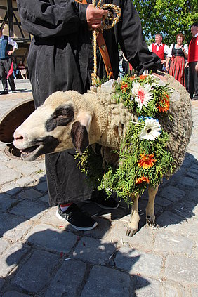 Geschmücktes Schaf