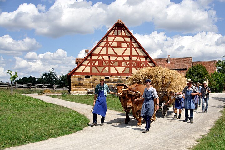 Fotoaufnahme einer von Ochsen gezogenen Karre am Sommerfest. Die beiden Ochsen werden jeweils von einem landwirtschaftlichen Mitarbeiter in Schürze geführt. Neben dem Karren voll Stroh laufen weitere Mitarbeiter. Im Hintergrund steht ein Fachwerk. 