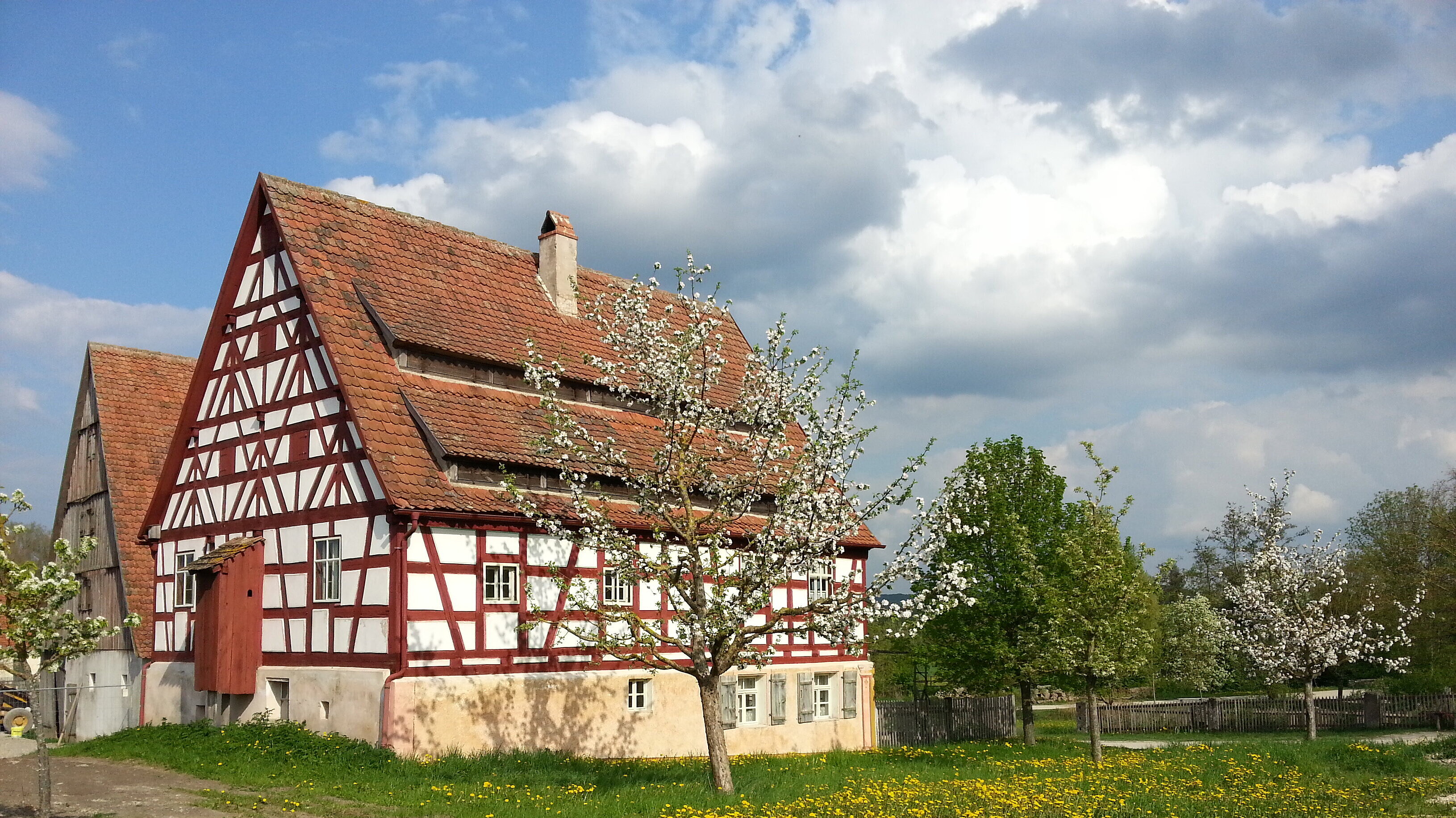 FFM_Hopfenbauernhaus_Eschenbach Fotoaufnahme des Hopfenbauernhauses aus Eschenbach am aktuellen Standort. Vor dem Haus befindet sich eine Wiese mit blühenden Löwenzahn und blühenden Bäumen. Hinter dem Fachwerk steht der Hopfenstadel aus Thalheim. Der Himmel ist bewölkt.