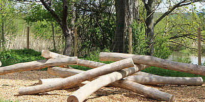 Fotoaufnahme des Baumstammhaufens auf dem Erlebnisplatz in der Baugruppe Süd. Die Baumstämme wurden von ihrer Rinde befreit und wirken wie zufällig aufeinander gelegt. Ein Zaun markiert die Grenze zum dahinter liegenden See.  