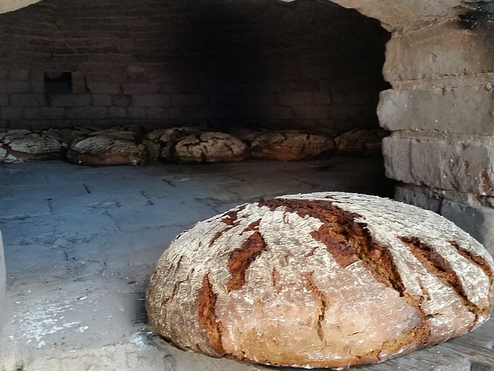 Fotoaufnahme von frischem Brot aus dem Holzbackofen. Am äußeren Rand der gemauerten Backröhre liegt ein runder, gebackener Brotlaib. Die Rinde ist zum Teil aufgeplatzt und mit Mehl bedeckt. Im hinteren Teil des Ofens liegen weitere Brote. 