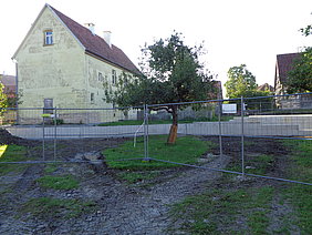 Blick auf Betonmauer, die eine Terrasierung begrenzt, davor ein Baum, dahinter das Schulhaus aus Pfaffenhofen