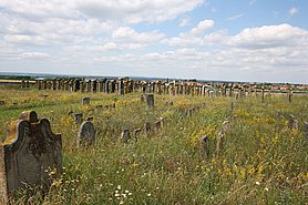 Grabsteine auf einem jüdischen Friedhof an einem sonnigen Tag