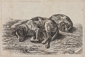Zwei nebeneinander schlafende Jagdhunde sind zu sehen.